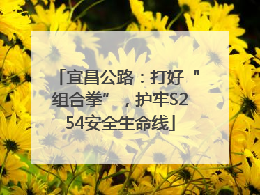 宜昌公路：打好“组合拳”，护牢S254安全生命线